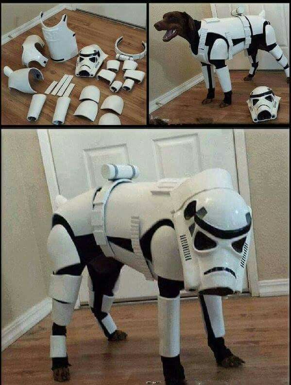 Cosplay de Stormtrooper